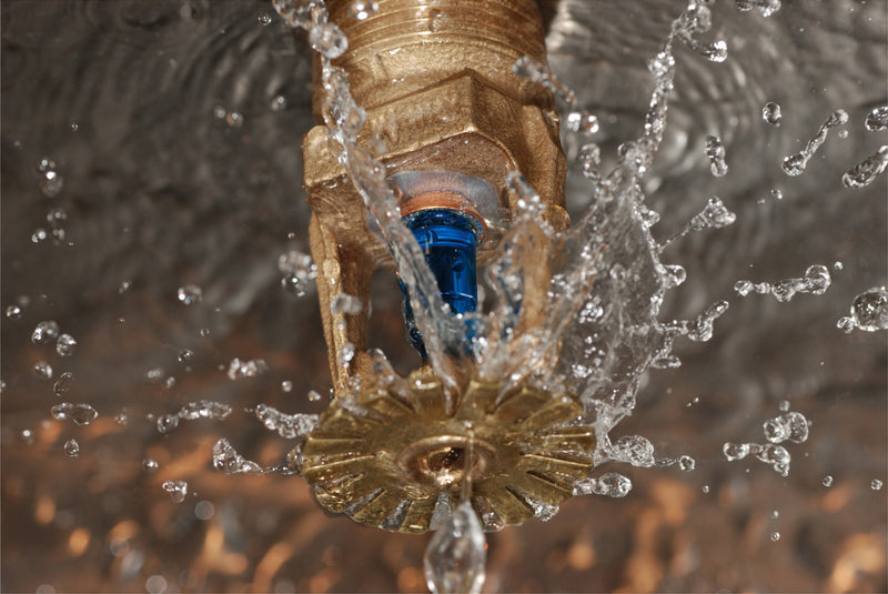 Fire suppression system – The sprinklers