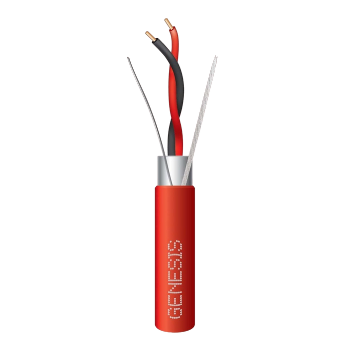 55541004 GENESIS