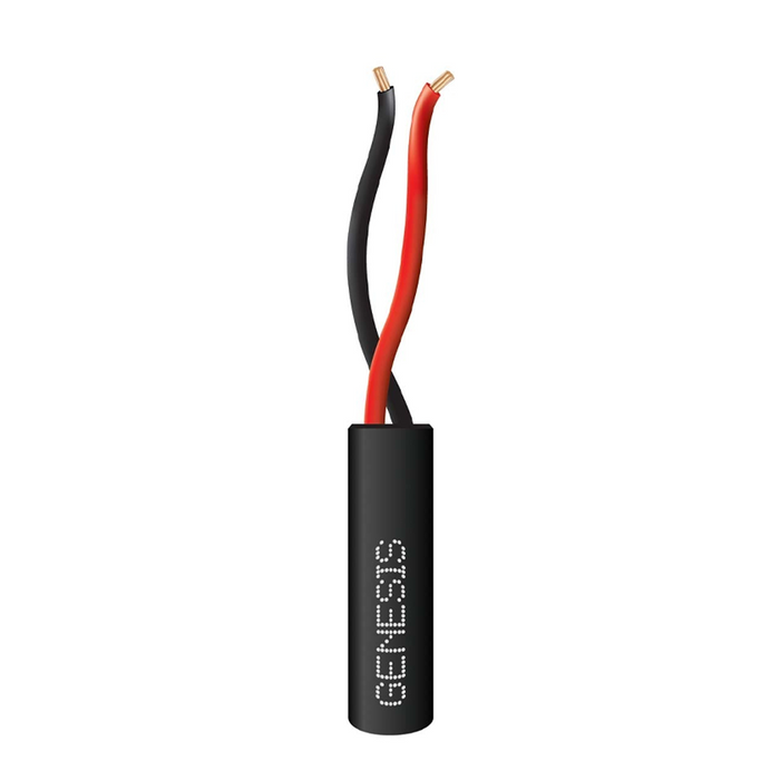 21025808 GENESIS