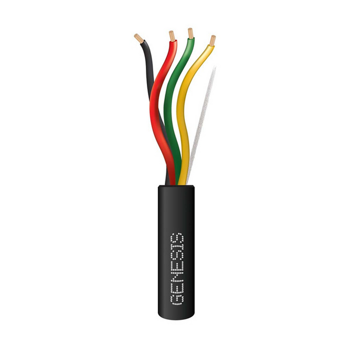 41571008 GENESIS
