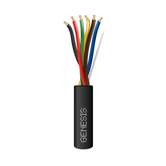 41581008 GENESIS