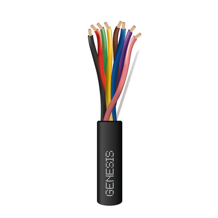 41591008 GENESIS