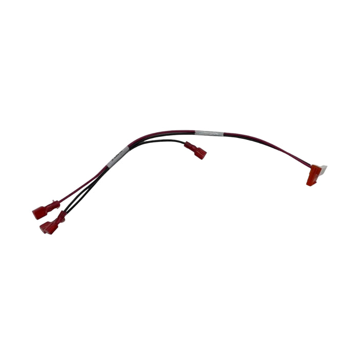 75287 CHEVALIER SILENCIEUX